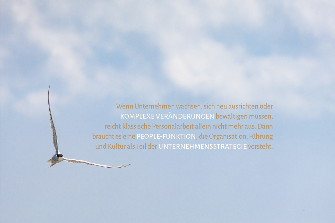 Wenn Unternehmen wachsen, sich neu ausrichten oder
komplexe Veränderungen bewältigen müssen,
reicht klassische Personalarbeit allein nicht mehr aus. Dann braucht es eine People-Funktion, die Organisation, Führung und Kultur als Teil der Unternehmensstrategie versteht.